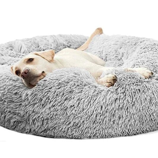 Plush Calming Bed