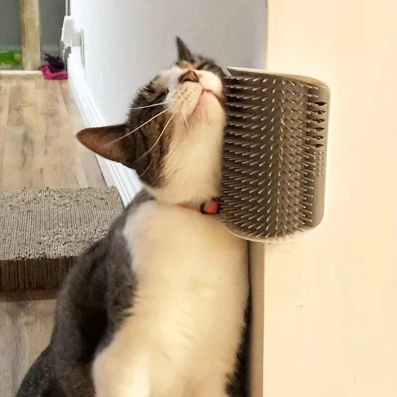 Cat Self Scratcher & Grooming Brush