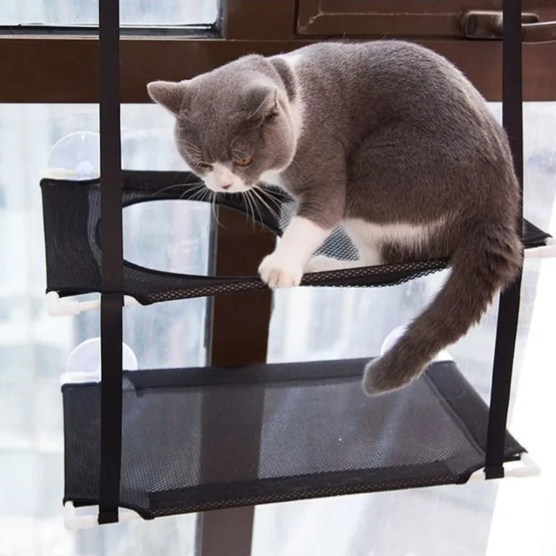 Penthouse Perch.