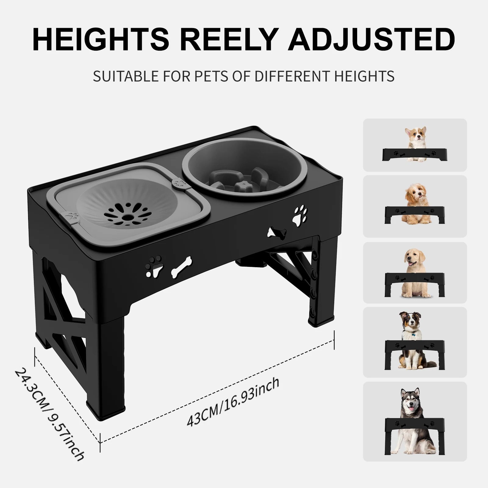 THREE-in-1 Pet Bowl
