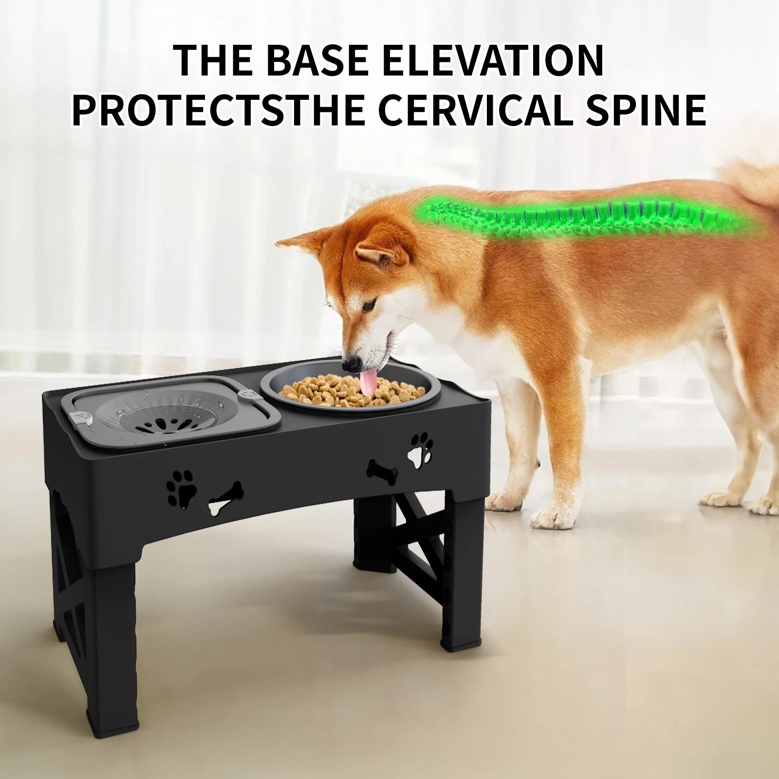 THREE-in-1 Pet Bowl