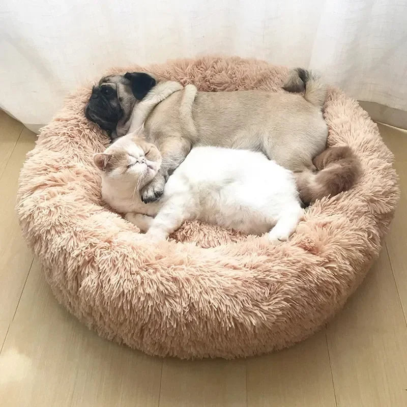 Plush Calming Bed