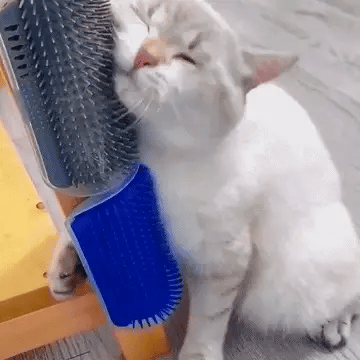 Cat Self Scratcher & Grooming Brush