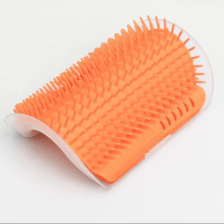 Cat Self Scratcher & Grooming Brush