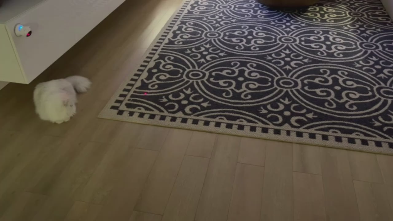 Automatic Cat Laser Toy